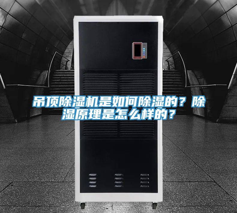 吊頂除濕機(jī)是如何除濕的？除濕原理是怎么樣的？