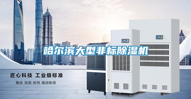 哈爾濱大型非標(biāo)除濕機(jī)