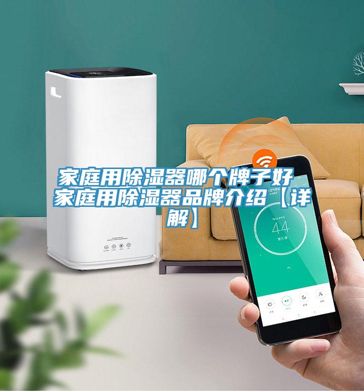 家庭用除濕器哪個(gè)牌子好 家庭用除濕器品牌介紹【詳解】