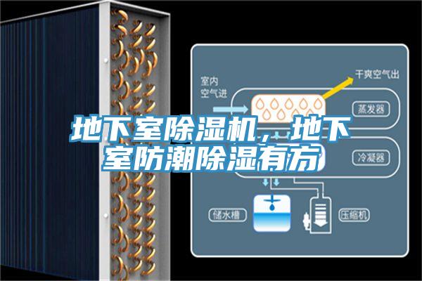 地下室除濕機(jī)，地下室防潮除濕有方