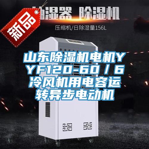 山東除濕機電機YYF120-60／6冷風機用電容運轉異步電動機