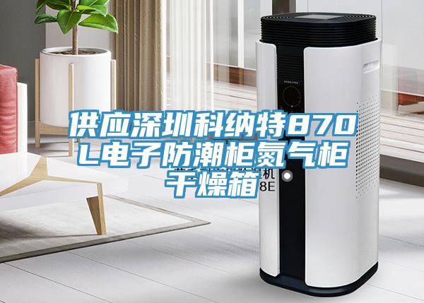 供應(yīng)深圳科納特870L電子防潮柜氮氣柜干燥箱