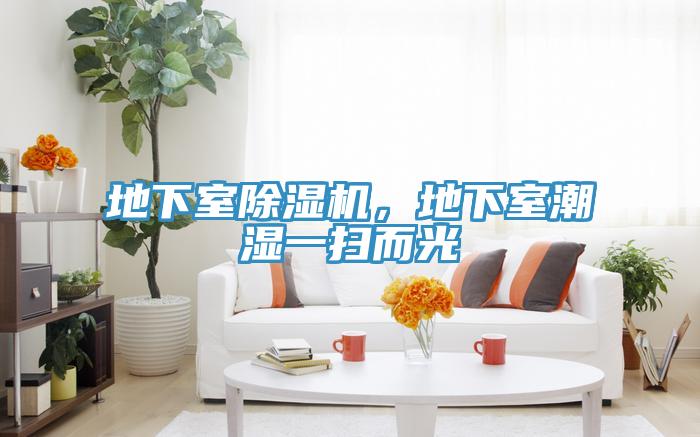 地下室除濕機(jī)，地下室潮濕一掃而光