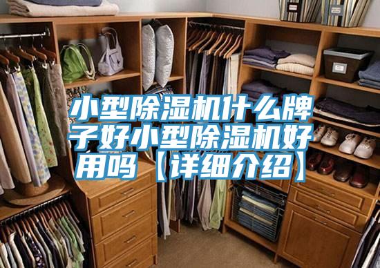 小型除濕機什么牌子好小型除濕機好用嗎【詳細介紹】