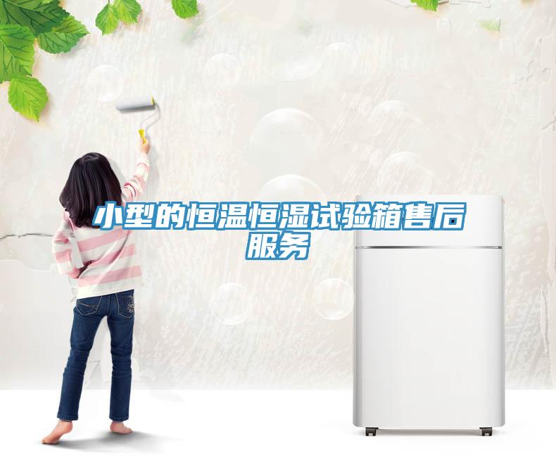 小型的恒溫恒濕試驗(yàn)箱售后服務(wù)