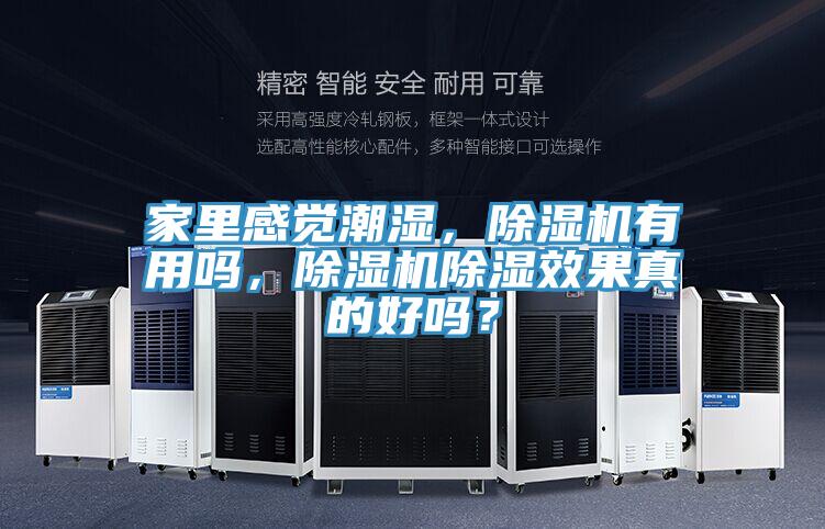 家里感覺潮濕，除濕機(jī)有用嗎，除濕機(jī)除濕效果真的好嗎？