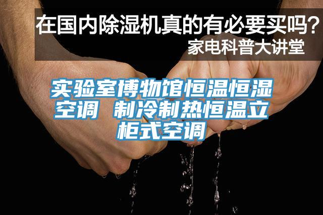 實(shí)驗(yàn)室博物館恒溫恒濕空調(diào) 制冷制熱恒溫立柜式空調(diào)