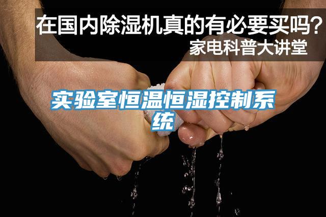 實驗室恒溫恒濕控制系統(tǒng)