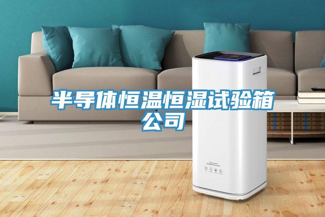半導(dǎo)體恒溫恒濕試驗(yàn)箱公司