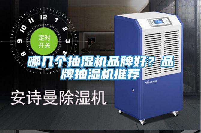 哪幾個抽濕機品牌好？品牌抽濕機推薦