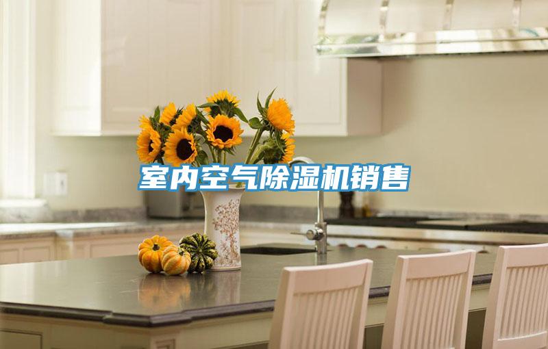 室內(nèi)空氣除濕機(jī)銷售