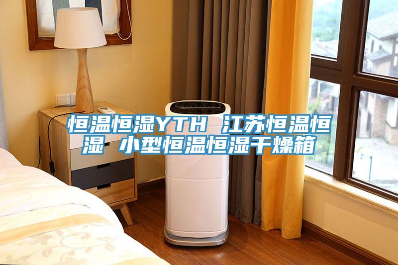 恒溫恒濕YTH 江蘇恒溫恒濕 小型恒溫恒濕干燥箱