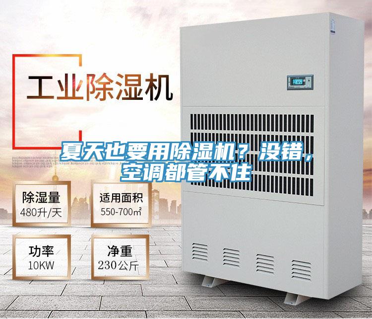 夏天也要用除濕機(jī)？沒(méi)錯(cuò)，空調(diào)都管不住