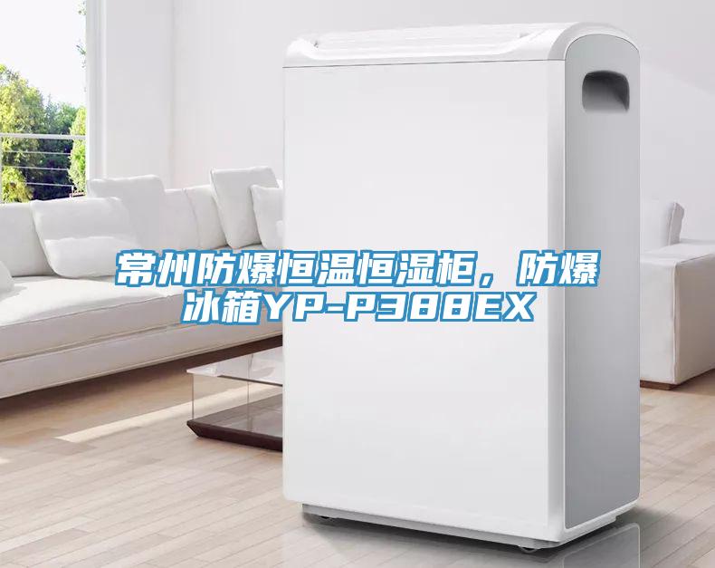 常州防爆恒溫恒濕柜，防爆冰箱YP-P388EX