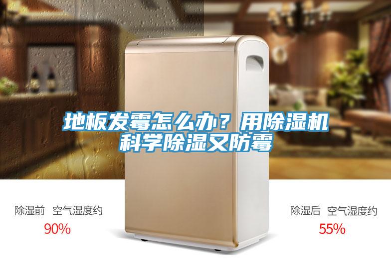 地板發(fā)霉怎么辦？用除濕機(jī)科學(xué)除濕又防霉