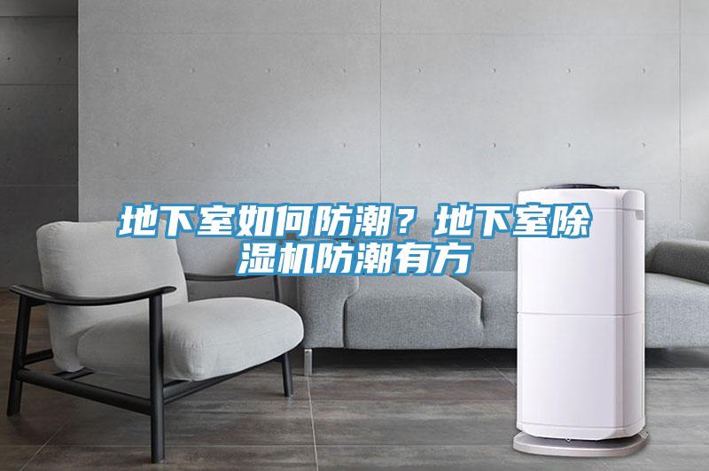 地下室如何防潮？地下室除濕機防潮有方