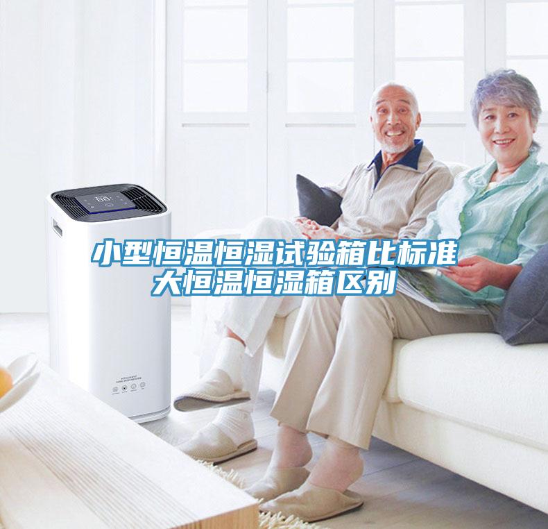 小型恒溫恒濕試驗(yàn)箱比標(biāo)準(zhǔn)大恒溫恒濕箱區(qū)別