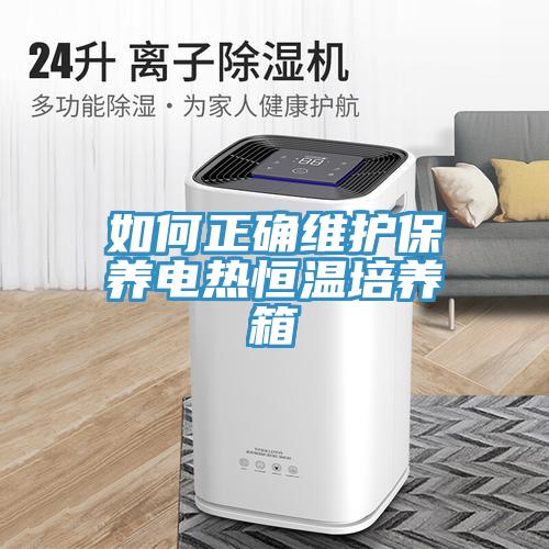 如何正確維護(hù)保養(yǎng)電熱恒溫培養(yǎng)箱