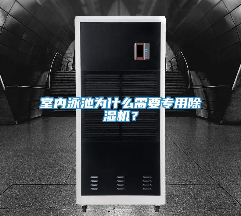 室內(nèi)泳池為什么需要專用除濕機？