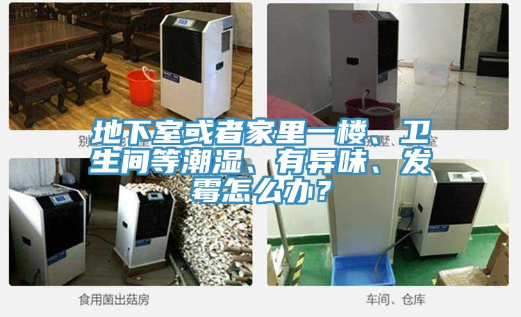 地下室或者家里一樓、衛(wèi)生間等潮濕、有異味、發(fā)霉怎么辦？