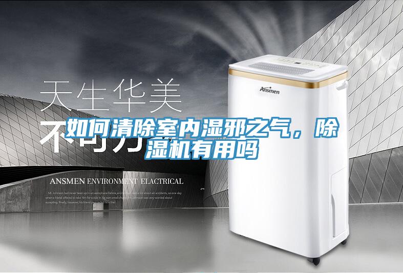 如何清除室內(nèi)濕邪之氣，除濕機(jī)有用嗎