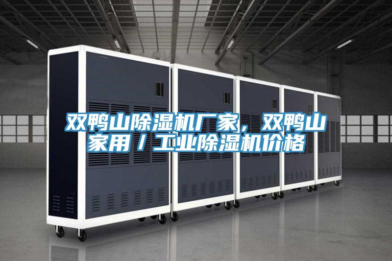 雙鴨山除濕機廠家，雙鴨山家用／工業(yè)除濕機價格