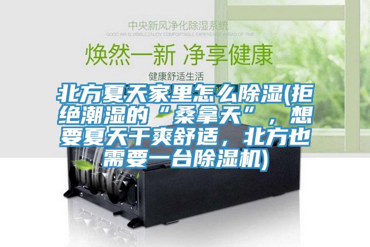 北方夏天家里怎么除濕(拒絕潮濕的“桑拿天”，想要夏天干爽舒適，北方也需要一臺除濕機)