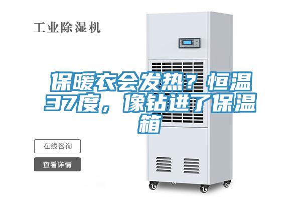 保暖衣會(huì)發(fā)熱？恒溫37度，像鉆進(jìn)了保溫箱