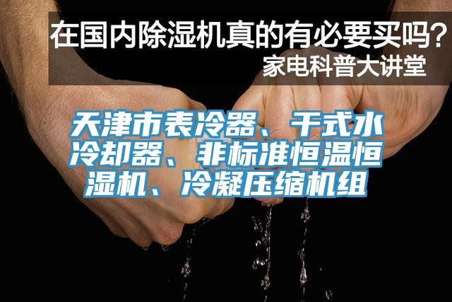 天津市表冷器、干式水冷卻器、非標(biāo)準(zhǔn)恒溫恒濕機(jī)、冷凝壓縮機(jī)組
