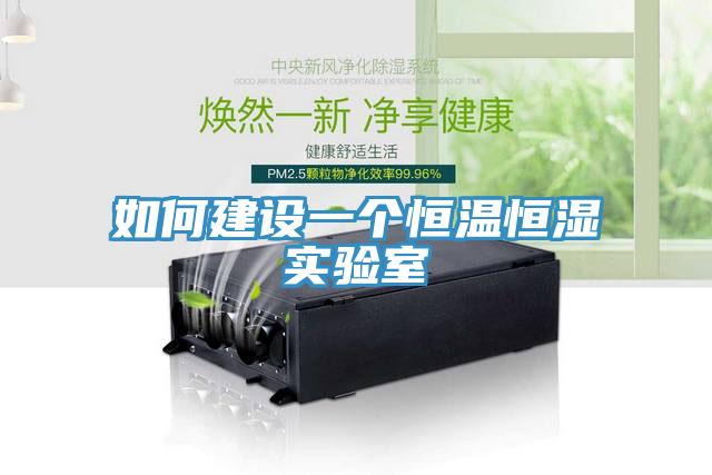 如何建設(shè)一個恒溫恒濕實驗室
