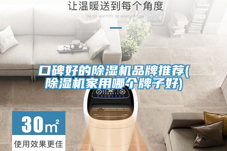 口碑好的除濕機(jī)品牌推薦(除濕機(jī)家用哪個(gè)牌子好)