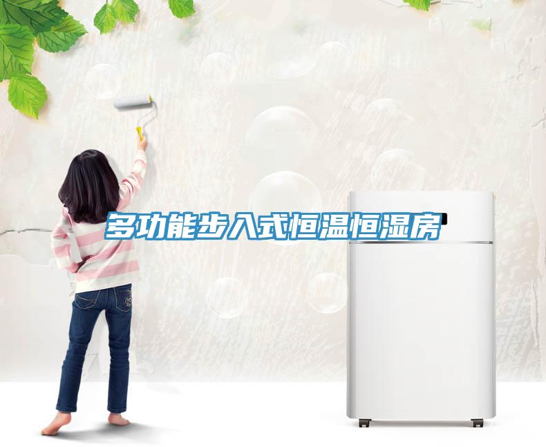 多功能步入式恒溫恒濕房