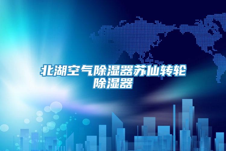 北湖空氣除濕器蘇仙轉(zhuǎn)輪除濕器