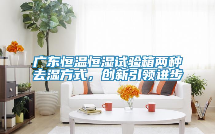 廣東恒溫恒濕試驗(yàn)箱兩種去濕方式，創(chuàng)新引領(lǐng)進(jìn)步