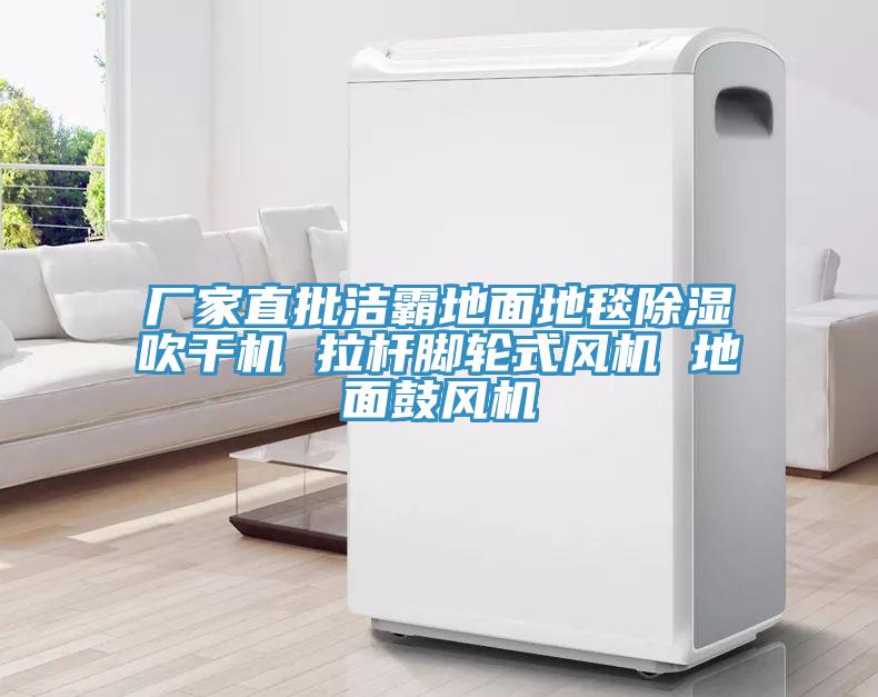 廠(chǎng)家直批潔霸地面地毯除濕吹干機(jī) 拉桿腳輪式風(fēng)機(jī) 地面鼓風(fēng)機(jī)