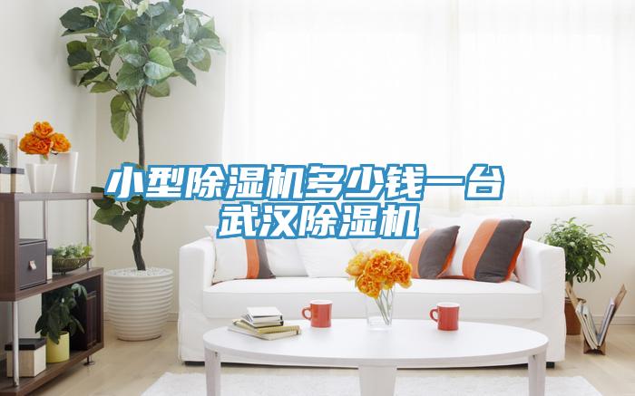 小型除濕機多少錢一臺 武漢除濕機