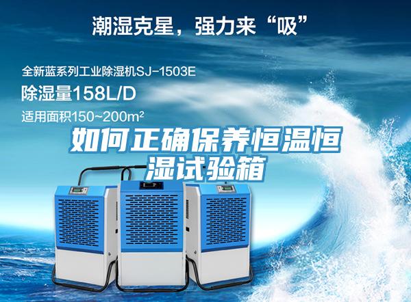 如何正確保養(yǎng)恒溫恒濕試驗箱