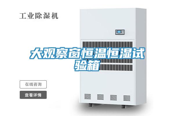 大觀察窗恒溫恒濕試驗(yàn)箱