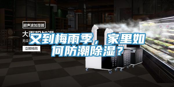 又到梅雨季，家里如何防潮除濕？