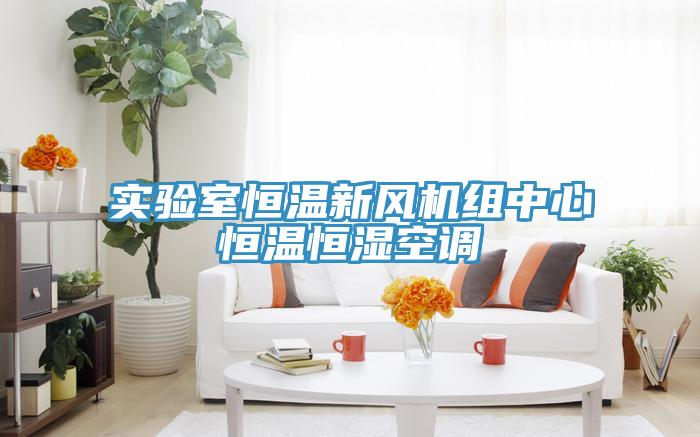 實驗室恒溫新風(fēng)機組中心恒溫恒濕空調(diào)