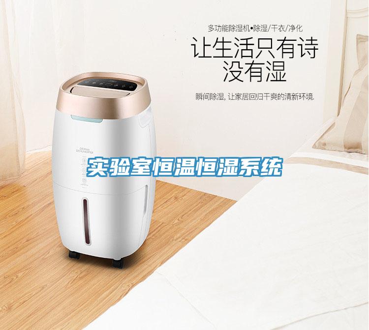 實(shí)驗(yàn)室恒溫恒濕系統(tǒng)