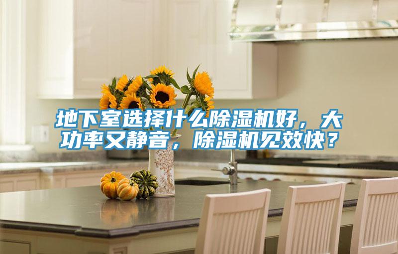 地下室選擇什么除濕機好，大功率又靜音，除濕機見效快？