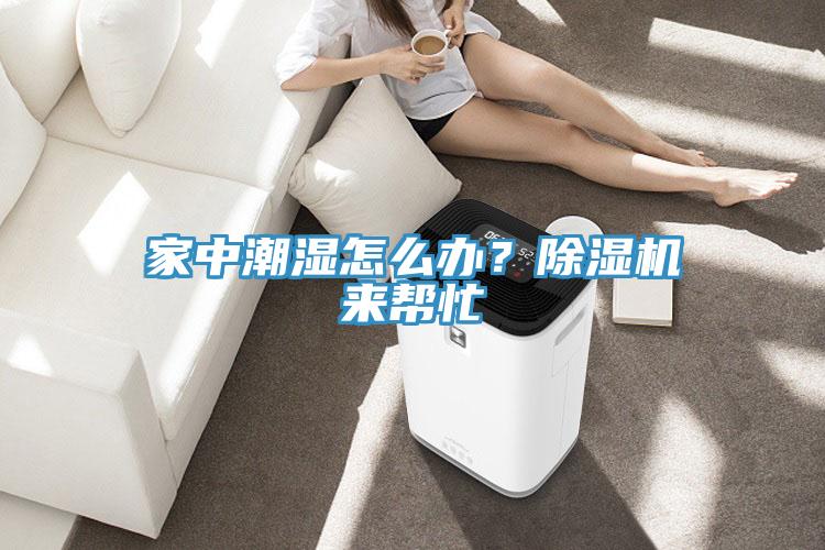 家中潮濕怎么辦？除濕機來幫忙