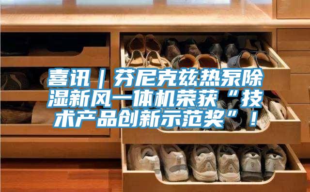 喜訊｜芬尼克茲熱泵除濕新風(fēng)一體機(jī)榮獲“技術(shù)產(chǎn)品創(chuàng)新示范獎(jiǎng)”！