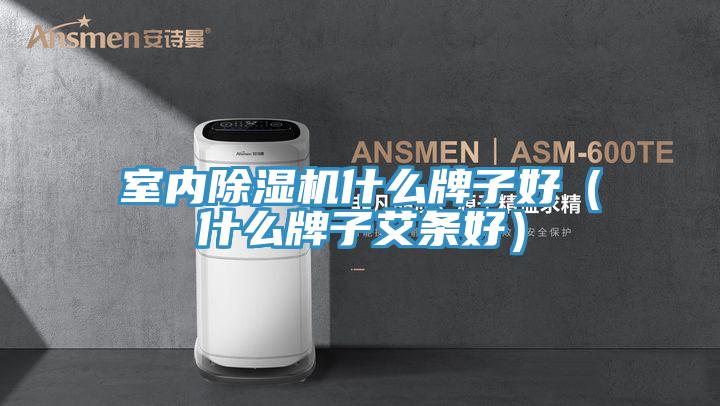 室內(nèi)除濕機(jī)什么牌子好（什么牌子艾條好）