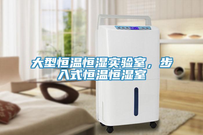 大型恒溫恒濕實(shí)驗(yàn)室，步入式恒溫恒濕室