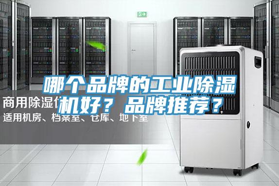 哪個品牌的工業(yè)除濕機好？品牌推薦？