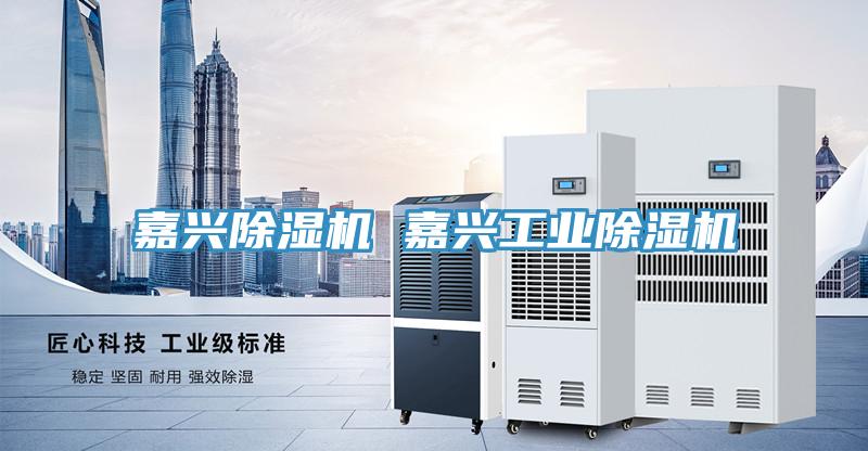 嘉興除濕機(jī) 嘉興工業(yè)除濕機(jī)