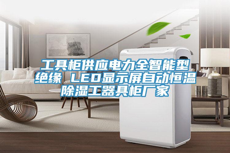 工具柜供應(yīng)電力全智能型絕緣 LED顯示屏自動恒溫除濕工器具柜廠家