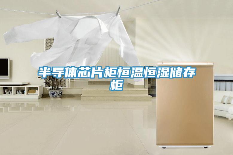 半導(dǎo)體芯片柜恒溫恒濕儲(chǔ)存柜